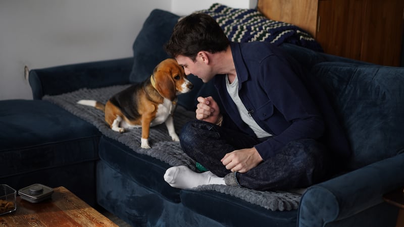 Gene-edited beagles may offer a future option for people with dog allergies