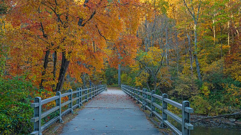 Oct. 28, 2023: Fall colors continue to put on a show in the N.C. High Country, as shown in this photo taken near the Linville Falls Visitor Center.