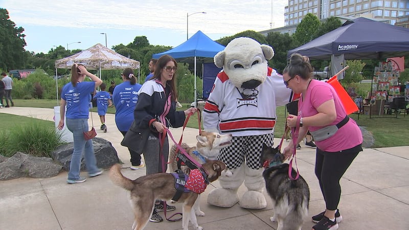 CMPD animal shelter raised $42k during Steps for Shelter Pets event