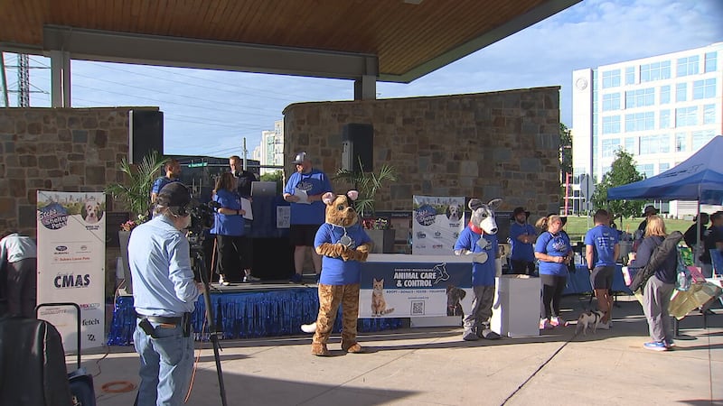 CMPD animal shelter raised $42k during Steps for Shelter Pets event