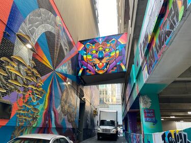 During the Charlotte Shout music and arts festival, the alley at 100 E. Fourth Street was transformed into a collection of murals by local and international artists.