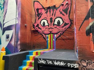 During the Charlotte Shout music and arts festival, the alley at 100 E. Fourth Street was transformed into a collection of murals by local and international artists.