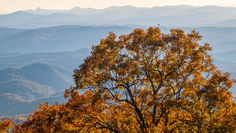 Oct. 29, 2022: This photo shows a colorful view from Blowing Rock, looking toward Table Rock and Hawksbill (some of the far left peaks).