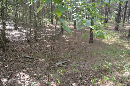 SC location where Casey, Sandy Parsons buried Erica