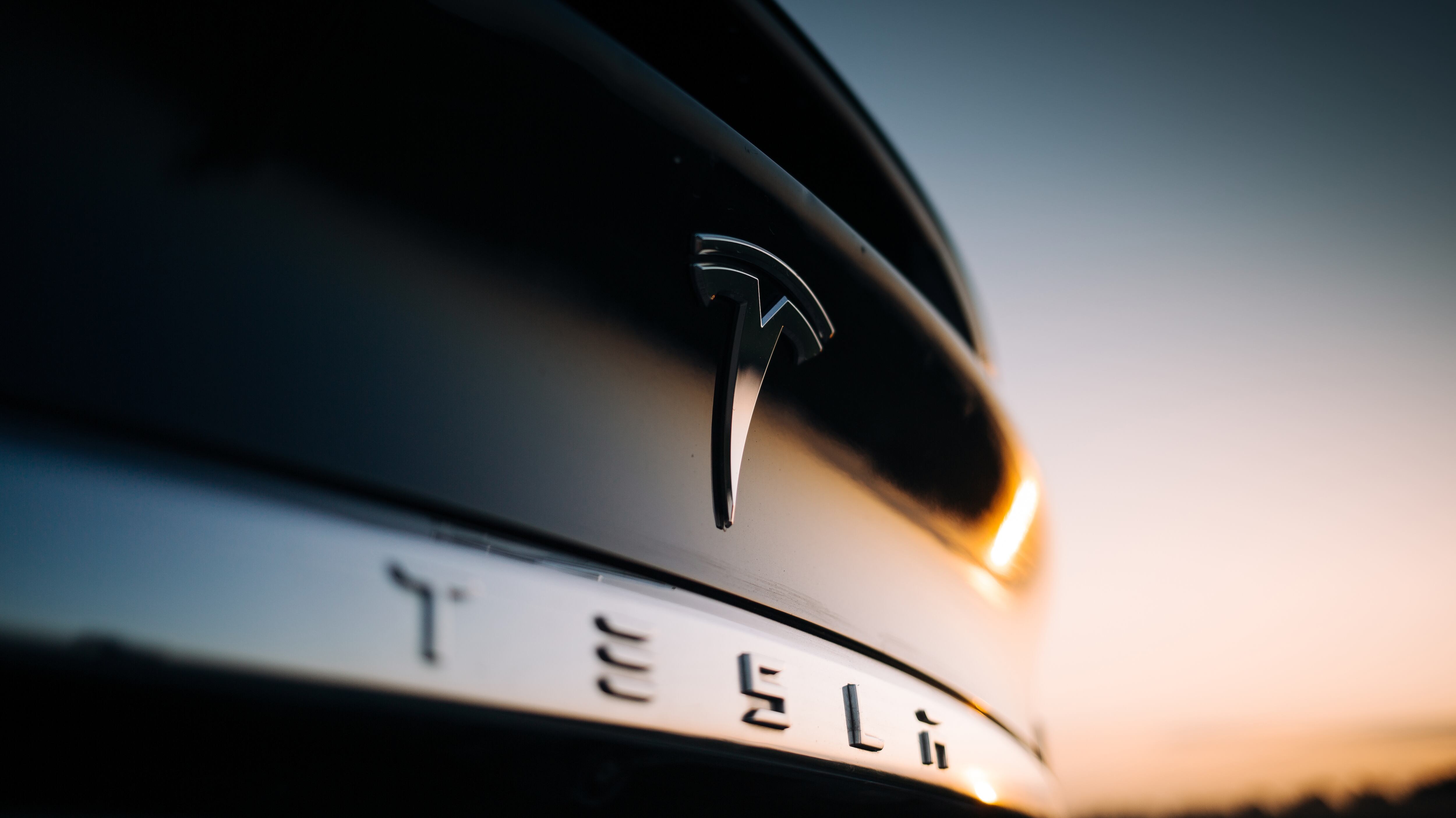 Tesla logo