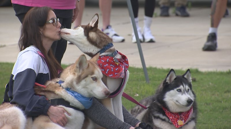 CMPD animal shelter raised $42k during Steps for Shelter Pets event