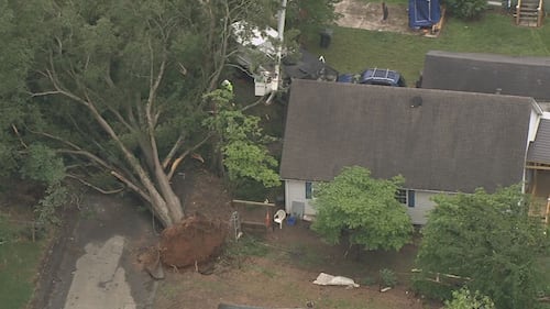 Tree down on Hemlock Ave. in Gastonia