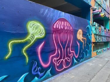 During the Charlotte Shout music and arts festival, the alley at 100 E. Fourth Street was transformed into a collection of murals by local and international artists.