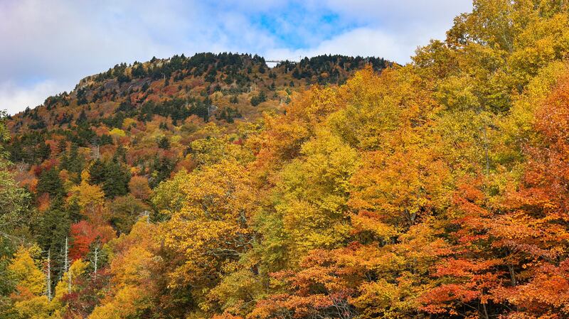 Oct. 9, 2022: This image was taken at Stack Rock Parking Area on the Blue Ridge Parkway in Blowing Rock. Grandfather Mountain's Mile High Swinging Bridge can be seen atop the ridge. This overlook is at 4286 feet in elevation, while the bridge itself is, of course, a mile above sea level.