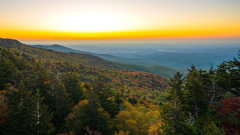 Oct. 4, 2023: This sunrise photo was taken from the Mile High Swinging Bridge at Grandfather Mountain. Pictured is a spot (in the middle of this photo) that turns early every year and exhibits particularly vibrant fall color. This area, between Grandfather Mountain and the Blue Ridge Parkway, usually changes first because it is a heath bald and the associated shrubs transition before the trees that surround it, making it pop amid the landscape.