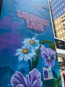 During the Charlotte Shout music and arts festival, the alley at 100 E. Fourth Street was transformed into a collection of murals by local and international artists.