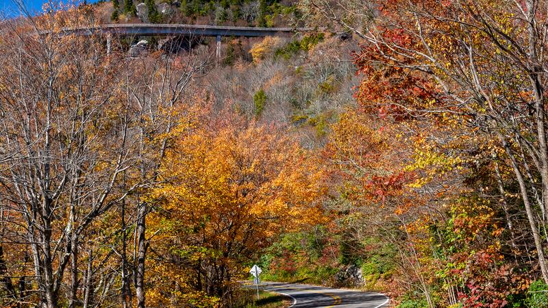 Oct. 22, 2022: Some fall color remains near the Linn Cove Viaduct on the Blue Ridge Parkway, as seen in this image taken from U.S. 221 below. Many leaves have fallen at higher elevations, but there are still nice pockets of autumn’s red, yellow and orange hues.