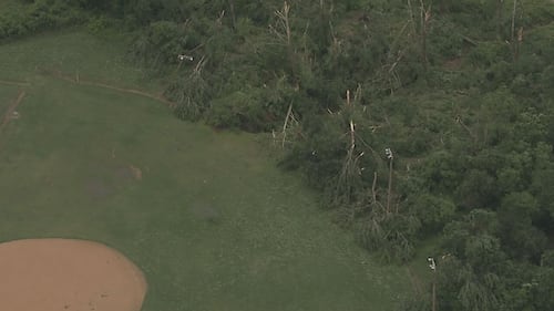 Trees down near baseball field in Sims Legion Park