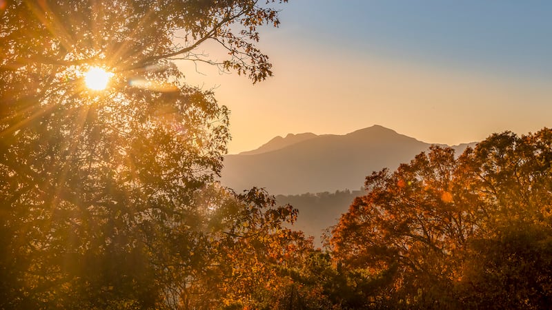 Oct. 28, 2022: Sunlight shines through the foliage on a tree and illuminates the remaining fall color in this view looking toward Grandfather from Blowing Rock.
Fall color in the N.C. High Country is now past its peak, but plenty of beautiful trees and landscapes remain. Routes into the area from lower elevations like Lenoir, Morganton, Marion and Wilkesboro also offer nice color.