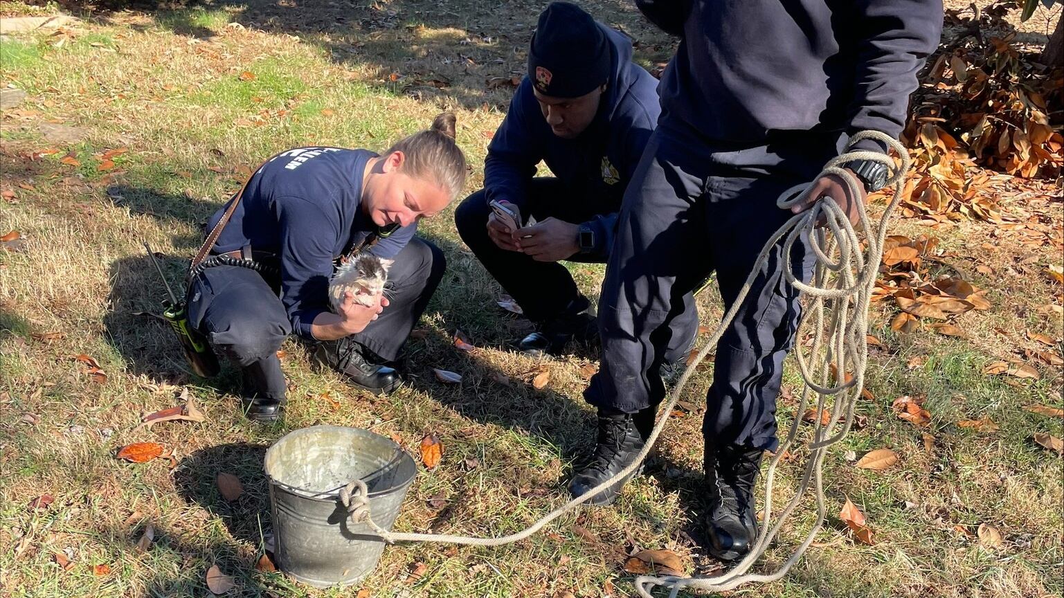 Kitten rescued from 40-foot well in Winston-Salem
