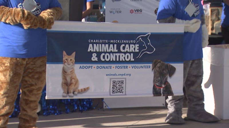 CMPD animal shelter raised $42k during Steps for Shelter Pets event