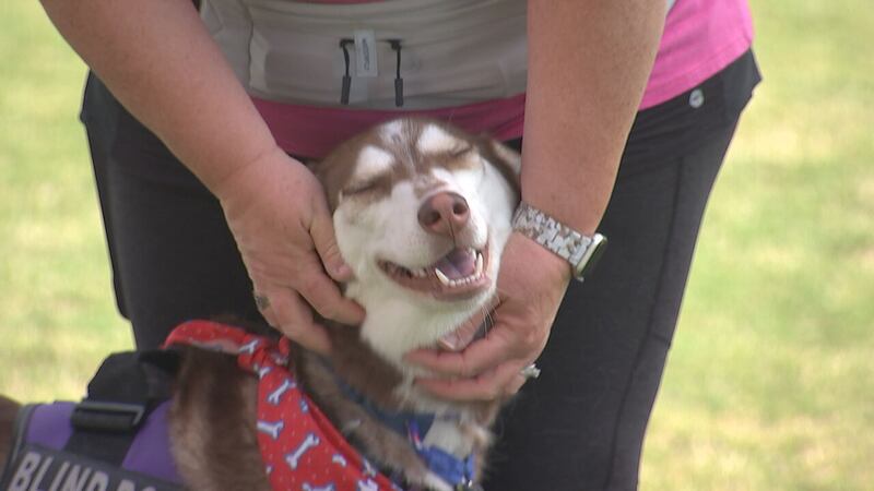 CMPD animal shelter raised $42k during Steps for Shelter Pets event
