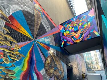 During the Charlotte Shout music and arts festival, the alley at 100 E. Fourth Street was transformed into a collection of murals by local and international artists.