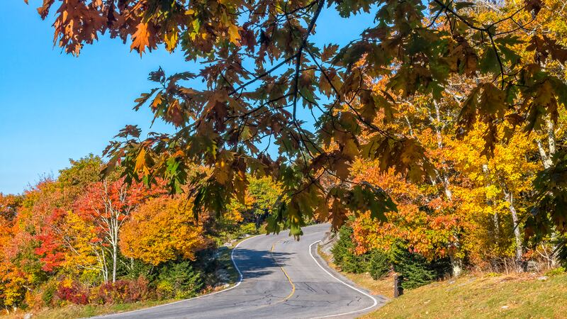 Oct. 11, 2022: Today’s photo is from near Split Rock. This location has experienced a lot of color development the last few days and provides colorful walking paths, scenic picnic spots and long-range fall views from overlooks in the Animal Habitats and near Split Rock.