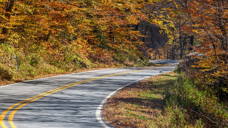 Oct. 25, 2022: This photo comes from U.S. 221, along the section of the road that cuts across the flanks of Grandfather Mountain below the Blue Ridge Parkway. Routes into the High Country from lower elevations, such as U.S. 321 between Lenoir and Blowing Rock, N.C. 181 between Morganton and Pineola and U.S. 421 from Wilkesboro to Boone, are offering nice color right now.