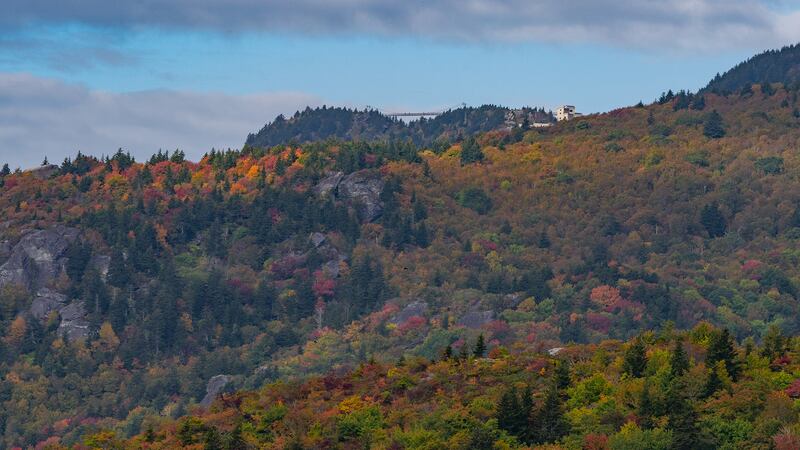 Oct. 12, 2023: This long-distance shot of Grandfather Mountain’s Mile High Swinging Bridge (and Top Shop building, on the right) was taken from the Blue Ridge Parkway, near Green Mountain Overlook, at Milepost 300.6. The red, yellow and orange hues set against an evergreen backdrop are becoming more and more vibrant. The weather conditions for Friday should be pleasant for leaf-peeping adventures in the area, with scattered light rainfall forecasted for over the weekend.