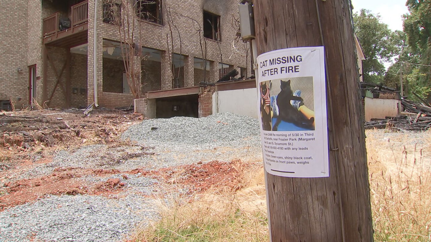 Cat missing after arson in Charlotte's Third Ward