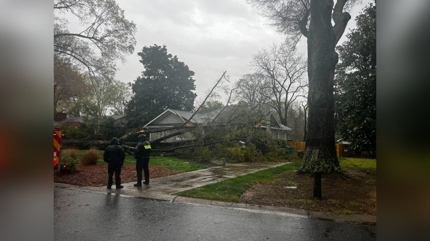 A tree is reported to be down on Guilford Road in the Sedgefield neighborhood.