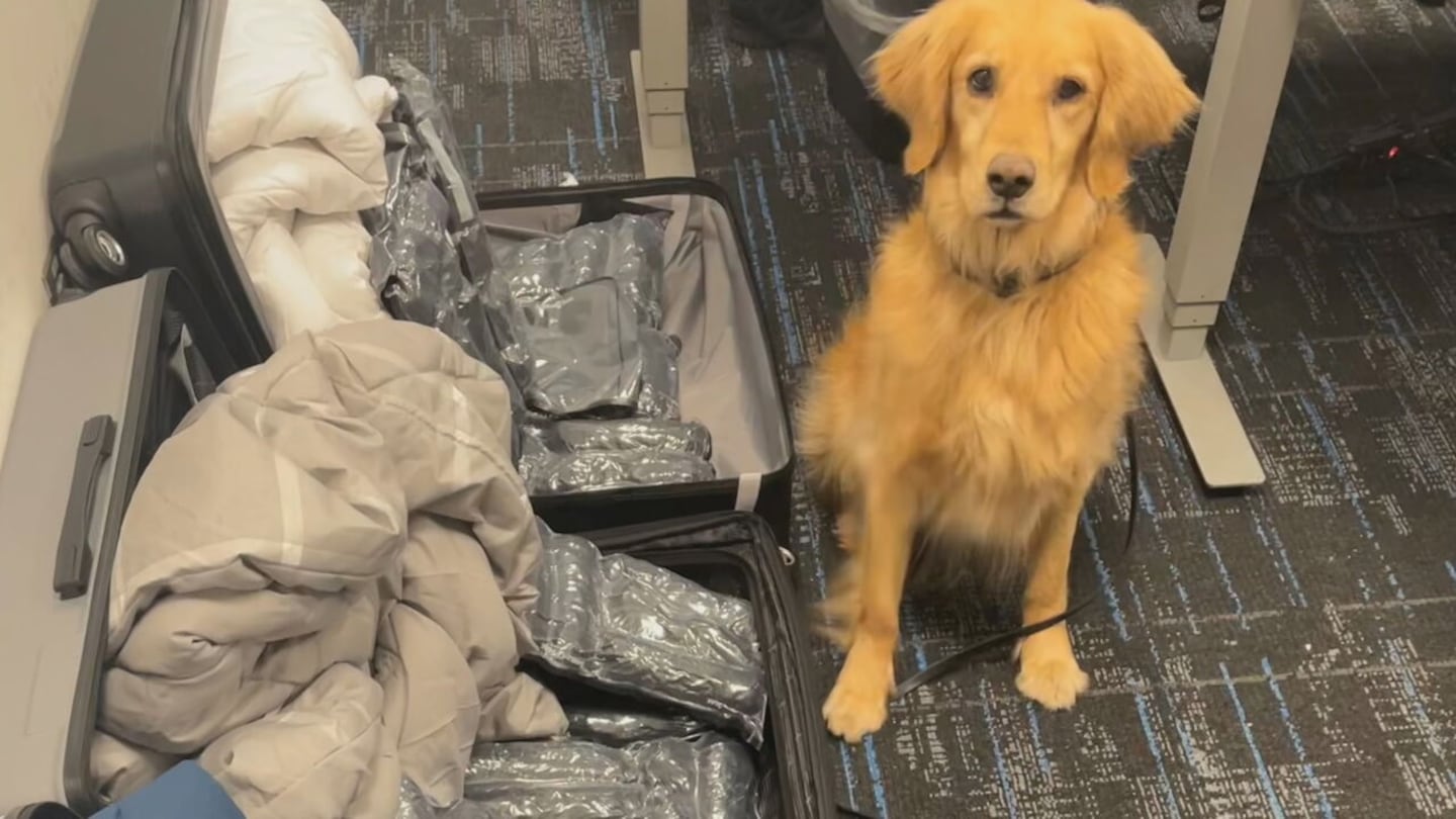 Drugs seized at CLT