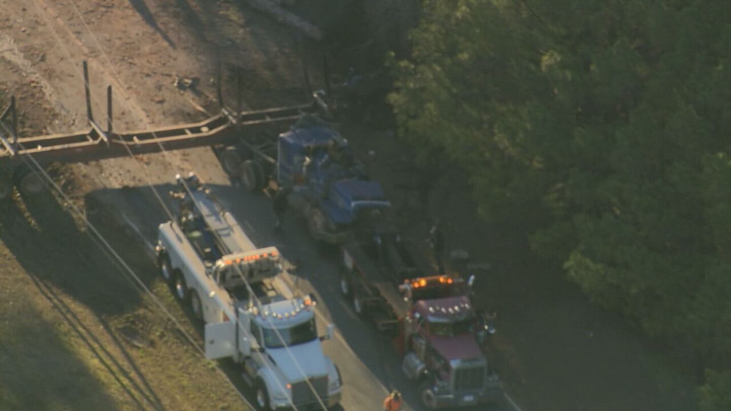 Truck carrying logs crashes in Anson County