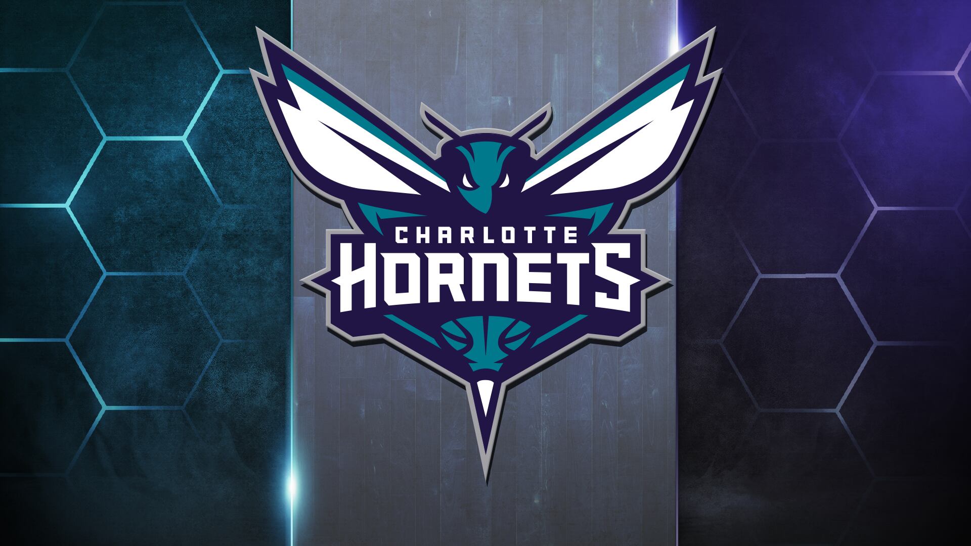 Hornet Kon Knueppel , Grant Williams to miss preseason due to hamstring injuries – WSOC TV