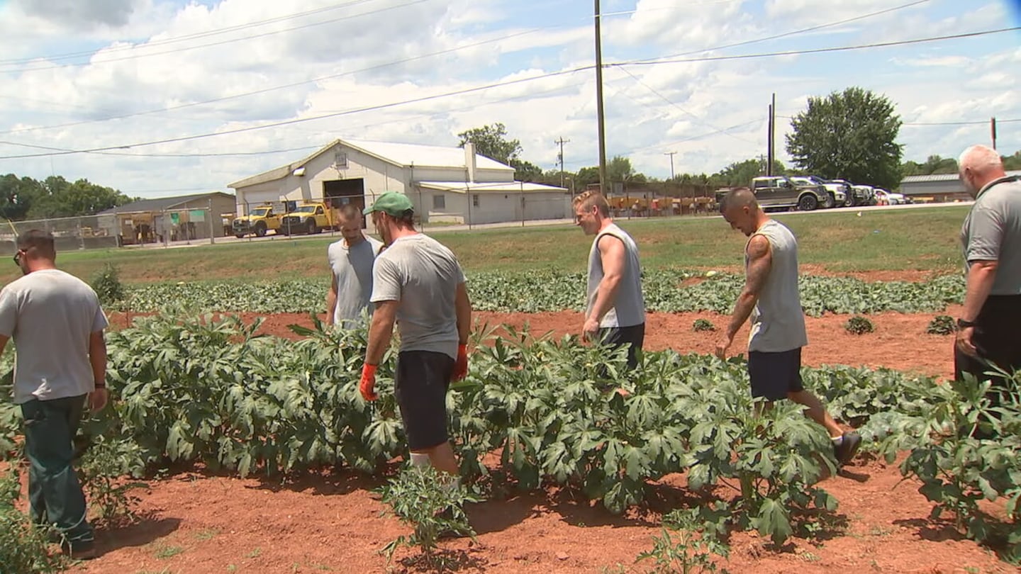 The garden at a Catawba County prison