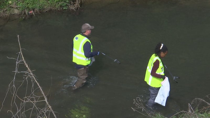 Stormwater Services hosts Creek Week to highlight importance of clean waterways