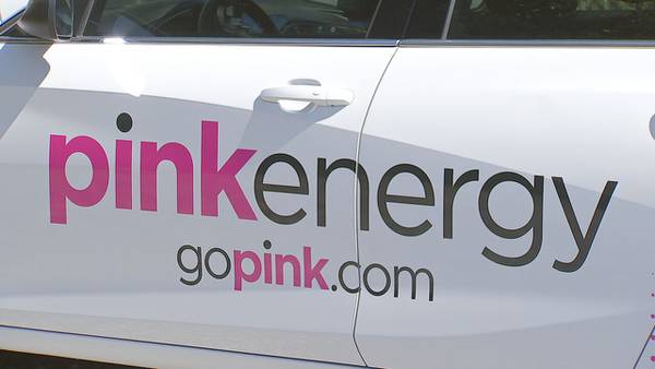 Bankruptcy hearing held for Pink Energy