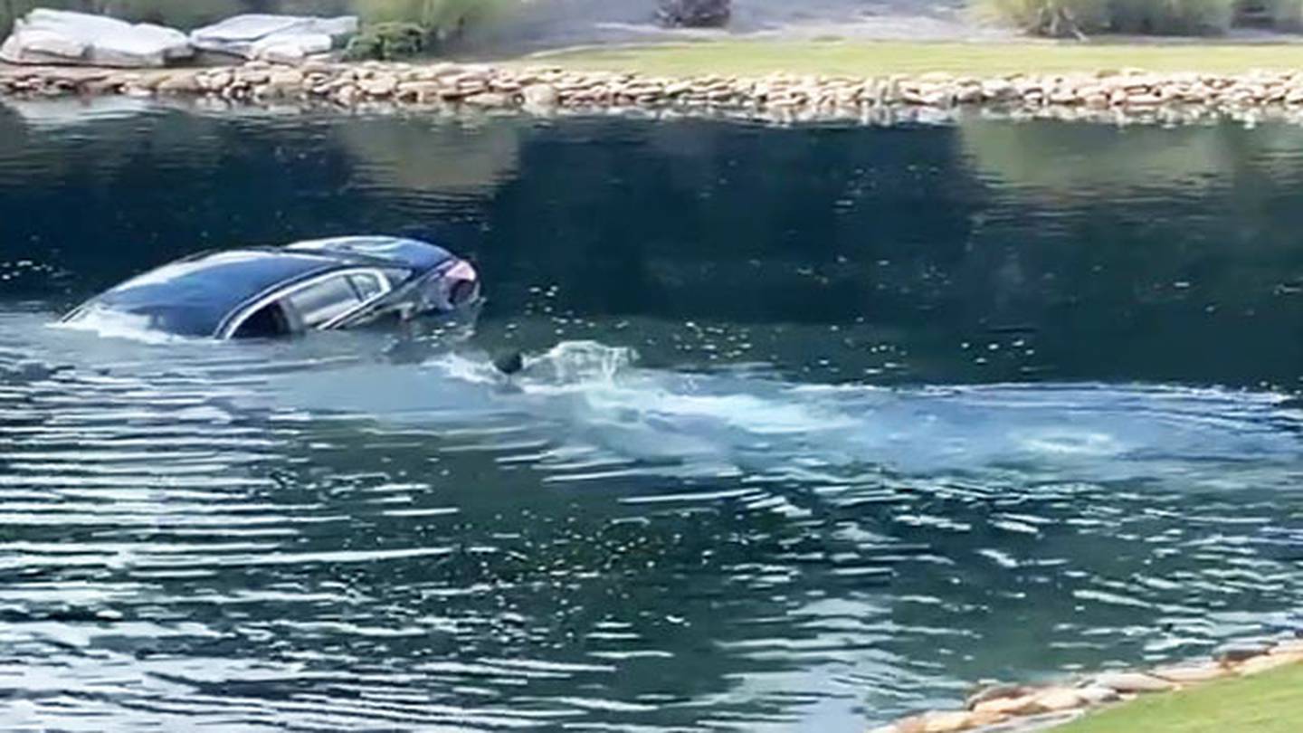 A man sprang into action when a car drove into a pond in South Carolina, swimming out to rescue the driver.