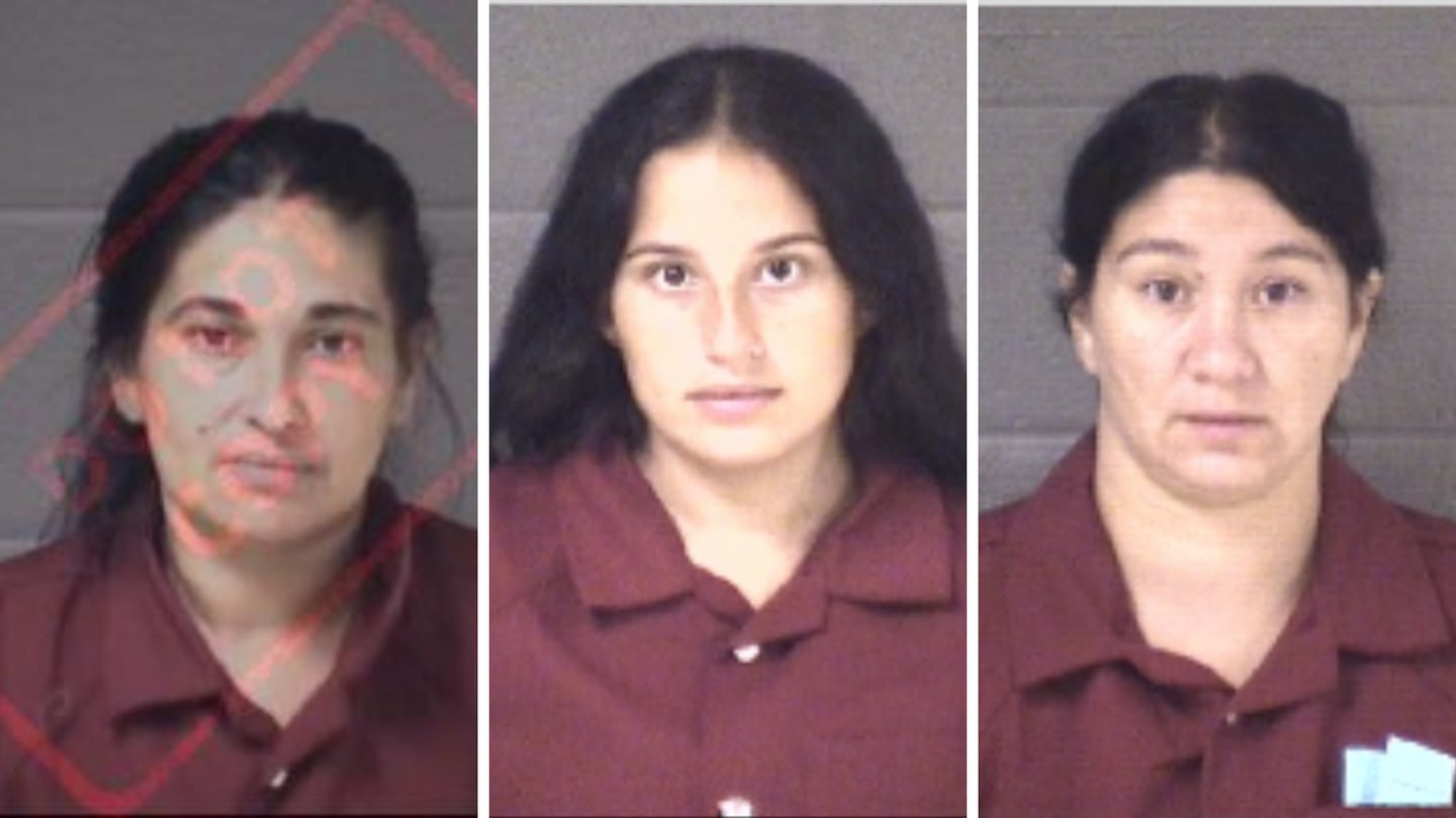 Suspects in Asheville D-Bat theft, Veronica Constantin, Jennifer Antonesco, Alexandra Lonescu