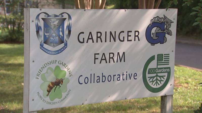 ‘Take what you need’: Community garden aimed at combating food insecurity in Charlotte