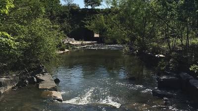 Community comes together to keep Charlotte’s waterways clean during Creek Week