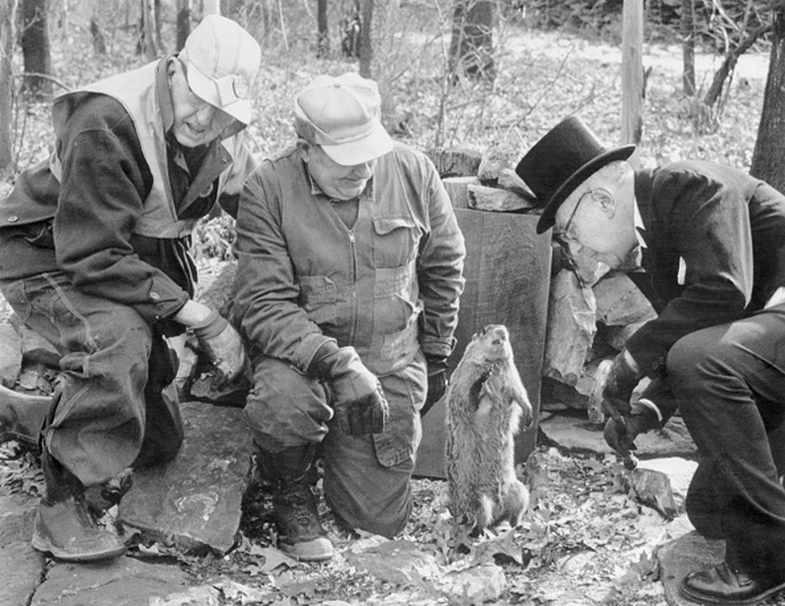 Groundhog Day 2024 Did Punxsutawney Phil see his shadow? WSOC TV