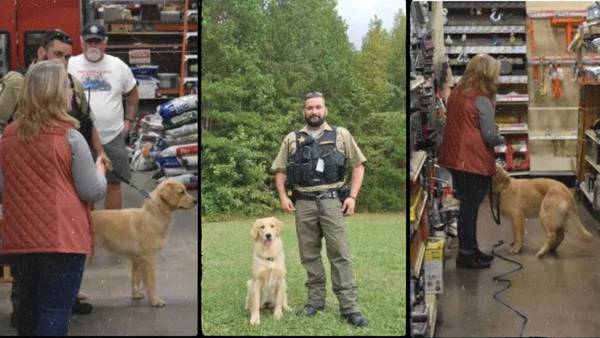 Rowan Co. Sheriff’s Office welcomes first therapy dog to K-9 force 