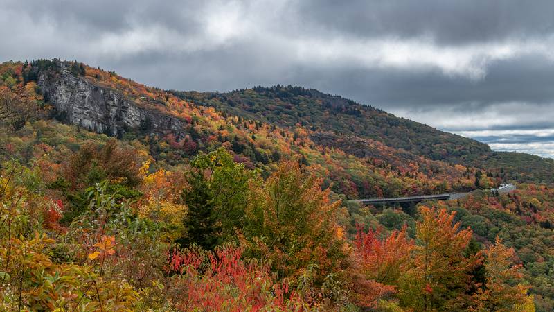 Oct. 17, 2023: This stretch of the Blue Ridge Parkway around Grandfather Mountain is really showing off a vibrant blend of fall colors this week. The scene displayed in this photo is a long-distance view of the very popular Rough Ridge, which can be accessed from a trail at Milepost 302.8.