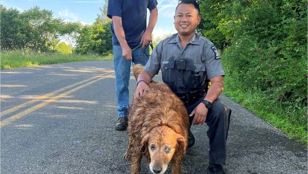 New York state trooper crawls into underground pipe to rescue missing dog