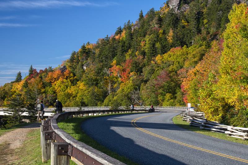 The Linn Cove Viaduct area on the Blue Ridge Parkway is beaming with brilliant fall color. Experts anticipate this particular area and others nearby to reach peak color any day now. “The Blue Ridge Parkway around Grandfather Mountain is peaking this week, including Rough Ridge and the Linn Cove Viaduct,” said Dr. Howie Neufeld, professor of biology at Appalachian State University and the WNC High Country’s official Fall Color Guy. “However, even if higher elevation sites are past peak, lower elevation sites will be coming into their best color over the next two weeks.”
